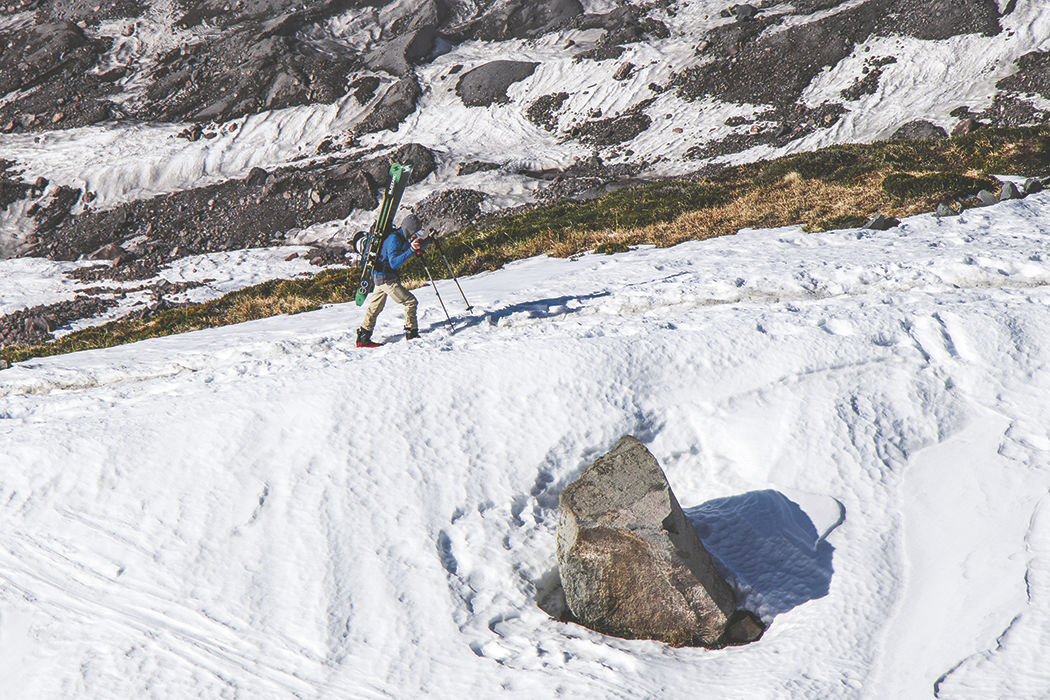 Photos: From Paradise in Mount Rainier National Park